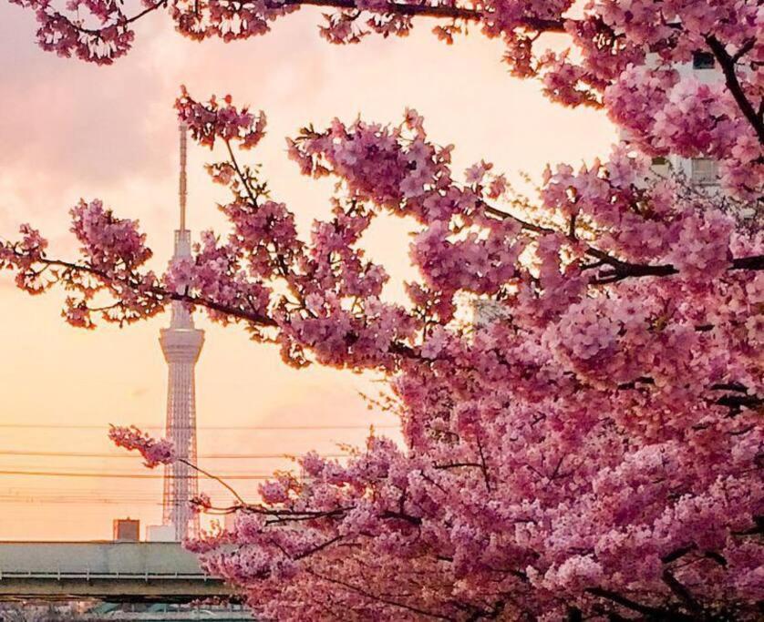 5Mins From Jr Kinshicho! Near Asakusa&Skytree! Tokio Exterior foto